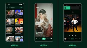 Vine